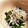 ozameg's cooksnap of when they made ほうれん草としらすのお浸し.