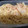 クックV8GXUG☆'s cooksnap of when they made 一人暮らしのトマトと白菜のクリームパスタ.