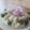 nagachan❀'s cooksnap of when they made ワンワン ちぎりパン.