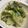 クックNC92N7☆'s cooksnap of when they made 白菜と明太子の卵炒め.