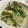 クックNC92N7☆'s cooksnap of when they made 白菜と明太子の卵炒め.