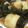 hiromitkb's cooksnap of when they made じゃがいもと昆布の煮物.