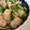 ポムポムポヨコ's cooksnap of when they made 鶏胸肉と小松菜としめじのシンプル塩炒め.