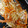 クックXVVB5I☆'s cooksnap of when they made にんじんとえのきサッと炒め.