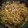 クックOQ9L1B☆'s cooksnap of when they made 白だし焼きうどん☆簡単和風うどん☆.