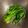 かとりーな♪'s cooksnap of when they made 葉物野菜の簡単!ゆで方　.