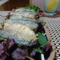 ダイナマイト漆黒's cooksnap of when they made チーズがカリカリ！アジの簡単チーズ焼き.