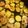 Freude00's cooksnap of when they made ズッキーニのスイチリぽん酢炒め.