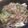 モモファム's cooksnap of when they made ひき肉とキャベツのにんつゆ炒め.