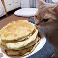 コメメ's cooksnap of when they made バナナ5本消費！簡単HMバナナケーキ.