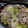 だいとー's cooksnap of when they made 病みつき♡蕪とキャベツのガリバタ炒め.