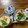 kitty・yumi's cooksnap of when they made 手抜き我が家の 茶碗蒸し！.