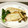 ☆こまっと☆'s cooksnap of when they made 簡単☆ポークソテー.