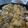 せきぼぅ's cooksnap of when they made マジうま！豚炒り卵豆腐♪.