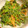 レゲエ好き's cooksnap of when they made 普通のほうれん草ごまあえ＊.