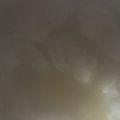 ma___111's cooksnap of when they made 圧力鍋で簡単♪砂肝のさっぱり煮.