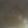 ma___111's cooksnap of when they made 圧力鍋で簡単♪砂肝のさっぱり煮.