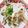 いかめし321's cooksnap of when they made ささみといんげんのごま明太マヨ和え.