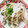 いかめし321's cooksnap of when they made ささみといんげんのごま明太マヨ和え.