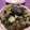 xoxoyumi07's cooksnap of when they made 圧力鍋で♪とろとろ牛スジと大根の煮込み.