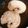 hummered's cooksnap of when they made コラーゲンたっぷり！サメの煮付け☆.