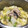 mito_sama's cooksnap of when they made 白菜大量消費✿鯖缶と白菜の煮物.
