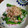 カバゴン's cooksnap of when they made 菜の花の大根おろし和え.