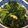 クック4W37VW☆'s cooksnap of when they made 中国野菜カイランと豚肉のオイスター炒め.