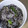 ma___111's cooksnap of when they made ゆかりの枝豆ご飯.
