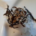 カクヨ's cooksnap of when they made お弁当やご飯のお供に♬昆布の佃煮.