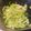 さとう0303's cooksnap of when they made レンジでレモンバターキャベツ.