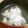 chou*'s cooksnap of when they made 真鯛のうしお汁.