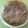 Yokchina's cooksnap of when they made ビスコッチョ（スペインのスポンジケーキ）.