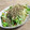 Chikatan☆'s cooksnap of when they made 【 ジャコと水菜のサラダ♪ 】.