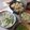 よちりん's cooksnap of when they made 彩りキレイなゆかりご飯✿.