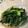 ae86_km's cooksnap of when they made 菜の花の辛子和え.