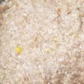 こともも♪ばぁちゃん's cooksnap of when they made お鍋やスープに♥基本の鶏つみれ♬.