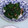 クック5IXQG7☆'s cooksnap of when they made ほうれん草とベーコンのにんにく醤油炒め✨.