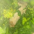 jimi8823's cooksnap of when they made 菜の花とベーコンのバターソテー.