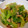 キサコナス's cooksnap of when they made 簡単★キャベツと豚肉の酒蒸し.