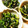 hotchick's cooksnap of when they made ＊冷凍ほうれん草のなめたけ和え＊.