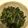 クックSHWQHD☆'s cooksnap of when they made ご飯のお供に♪大根の葉っぱでごま油炒め.
