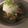二ミたん's cooksnap of when they made サバ缶のみぞれ和え.