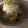 二ミたん's cooksnap of when they made サバ缶のみぞれ和え.