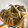 yako777's cooksnap of when they made カタクチイワシの南蛮漬け.