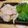 tetu＆natu's cooksnap of when they made 簡単に作れる！真鯛のとろろ昆布じめ.