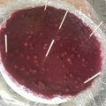 Yokchina's cooksnap of when they made ヨーグルトケーキ.