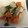 シェイプ's cooksnap of when they made 簡単！ 中華丼.