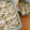 づぃんこ's cooksnap of when they made 洗いごぼうの保存方法.