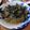 i_yokan's cooksnap of when they made あめ色の「野沢菜漬け油炒め」丼★信州郷土料理.